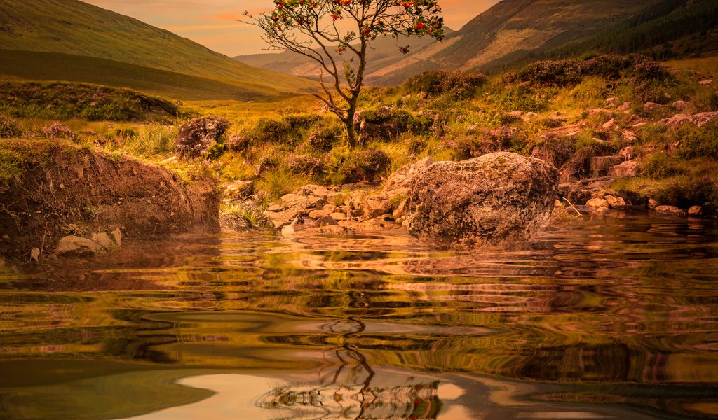 Обои вода, озеро, горы, дерево, закат, отражение, рябина, sophiaspurgin, water, lake, mountains, tree, sunset, reflection, rowan разрешение 4470x4470 Загрузить