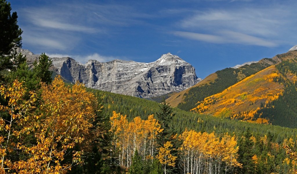 Обои деревья, горы, осень, канада, альберта, кананаскис, trees, mountains, autumn, canada, albert, kananaskis разрешение 2048x1365 Загрузить