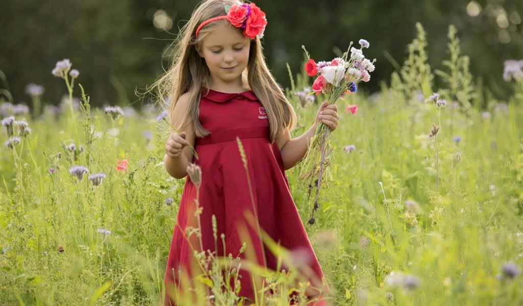 Обои цветы, природа, платье, лето, дети, девочка, волосы, лицо, flowers, nature, dress, summer, children, girl, hair, face разрешение 7360x4912 Загрузить