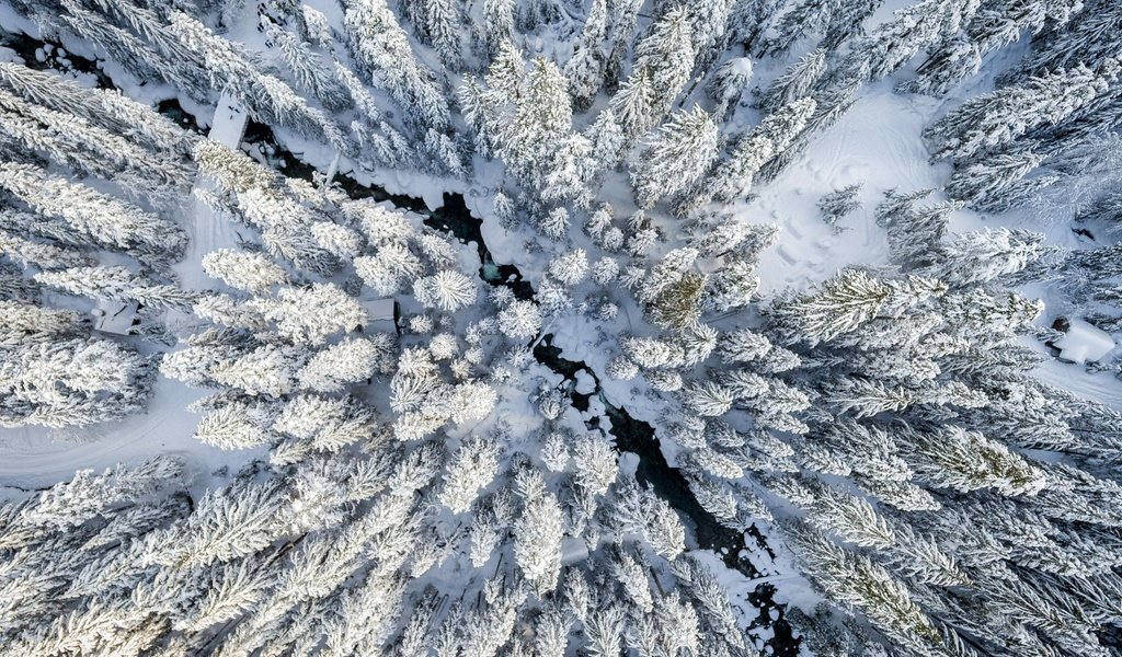 Обои снег, лес, зима, вид сверху, ели, snow, forest, winter, the view from the top, ate разрешение 2048x1535 Загрузить