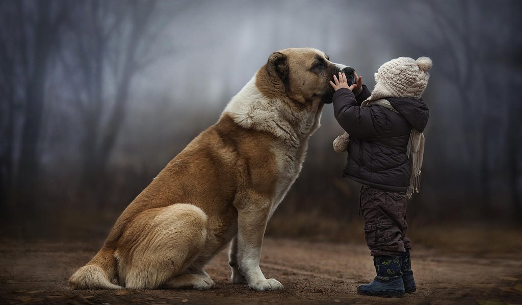 Обои лес, собака, дети, ребенок, дружба, forest, dog, children, child, friendship разрешение 1920x1200 Загрузить