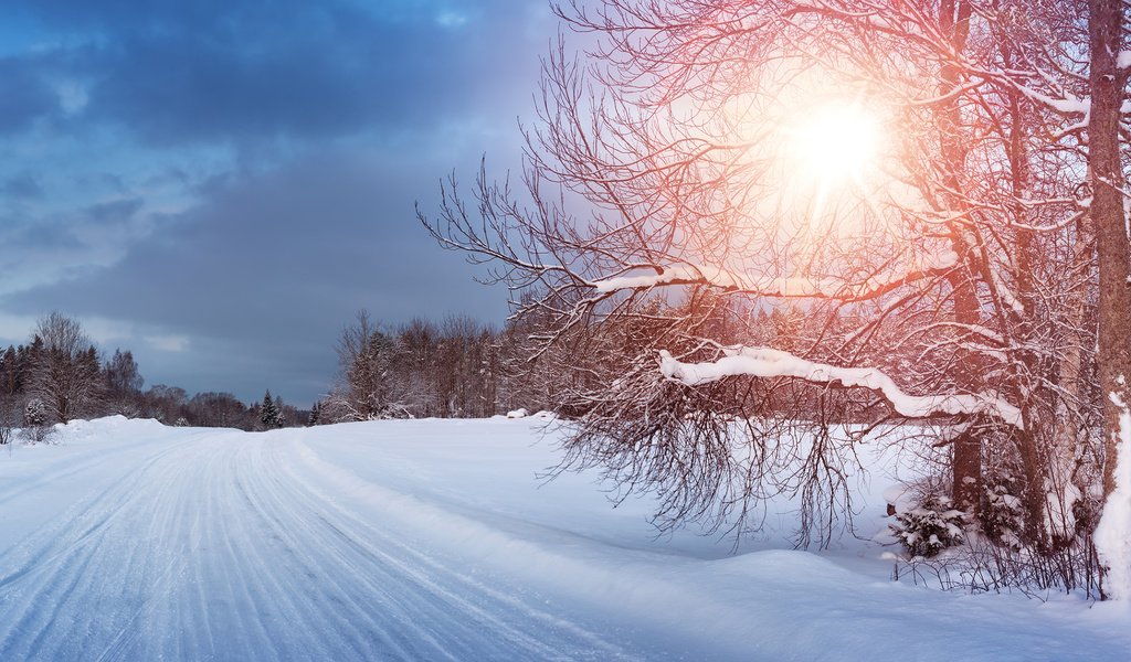 Обои дорога, деревья, снег, природа, лес, зима, анна, anna grigorjeva, road, trees, snow, nature, forest, winter, anna разрешение 1920x1080 Загрузить