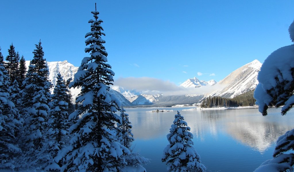 Обои небо, деревья, озеро, горы, снег, зима, ели, the sky, trees, lake, mountains, snow, winter, ate разрешение 2560x1600 Загрузить