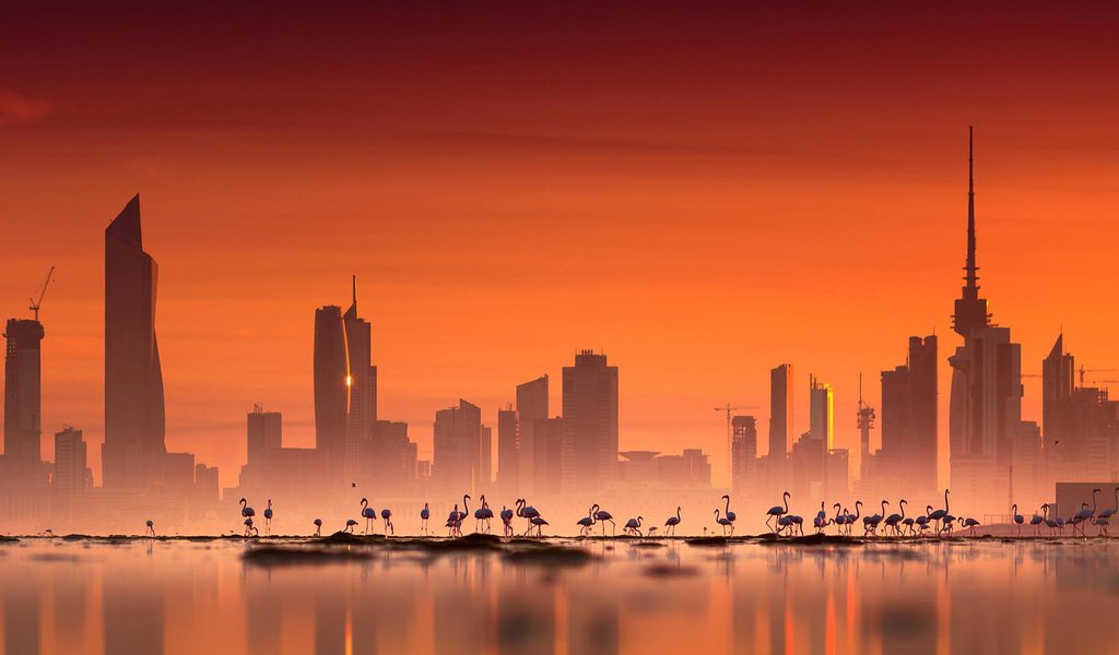 Обои небо, мегаполис, закат, птицы, море, здания, фламинго, сумерки, город, кувейт, азия, эль-кувейт, небоскребы, башня, the sky, megapolis, sunset, birds, sea, building, flamingo, twilight, the city, kuwait, asia, skyscrapers, tower разрешение 1920x1200 Загрузить