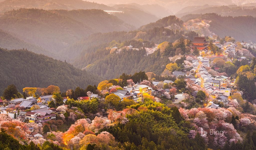 Обои деревья, горы, цветение, город, япония, весна, сакура, yoshino, trees, mountains, flowering, the city, japan, spring, sakura разрешение 1920x1200 Загрузить