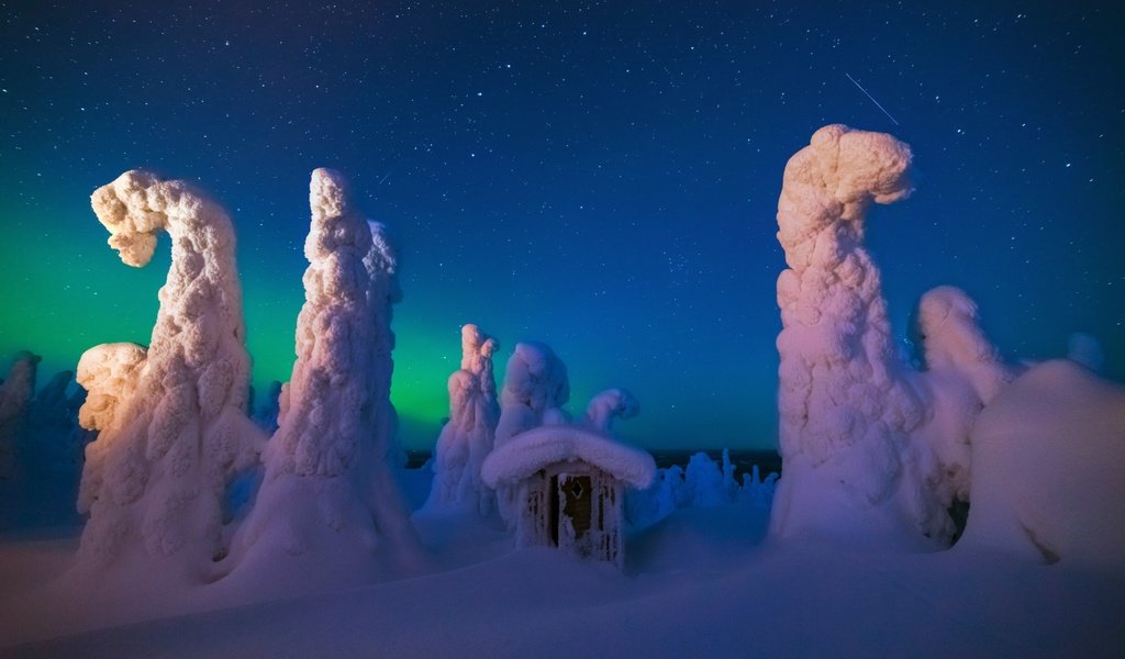 Обои ночь, деревья, снег, природа, лес, зима, домик, night, trees, snow, nature, forest, winter, house разрешение 1920x1200 Загрузить