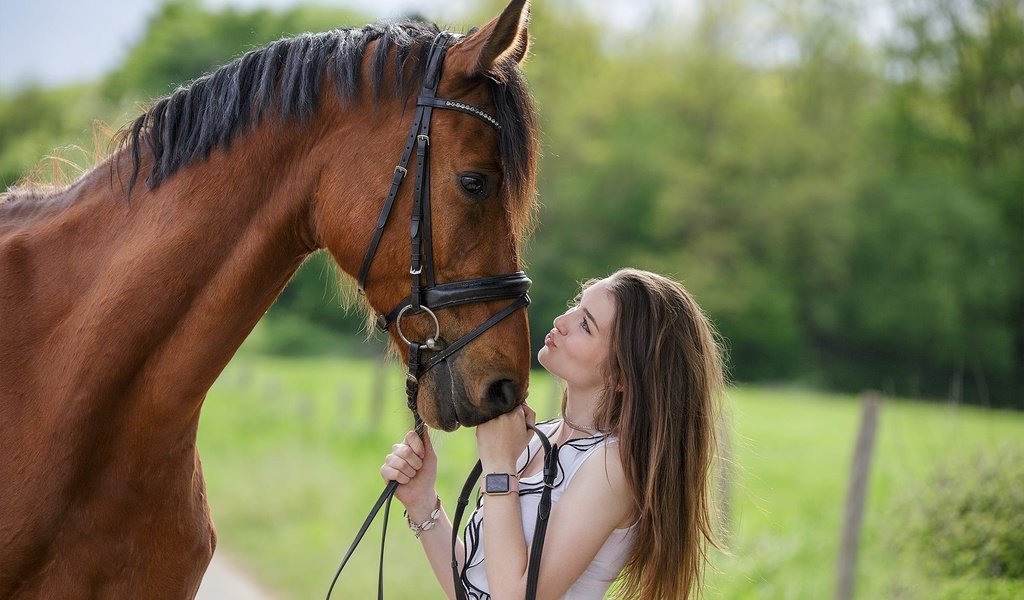 Обои лошадь, девушка, профиль, конь, грива, друзья, horse, girl, profile, mane, friends разрешение 2000x1333 Загрузить