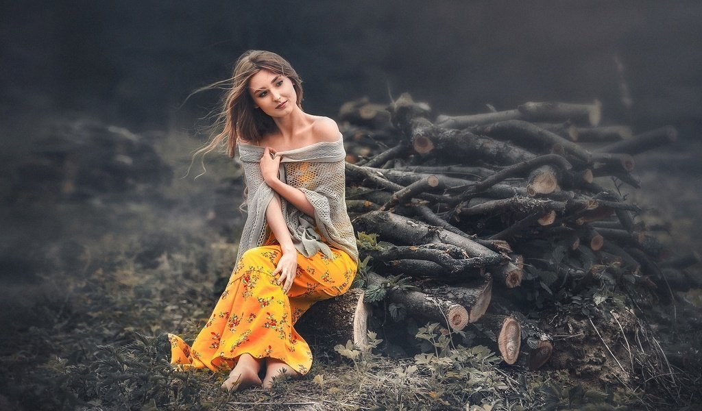 Обои девушка, фон, поза, взгляд, волосы, дрова, вадим мельник, girl, background, pose, look, hair, wood, vadim miller разрешение 1920x1200 Загрузить