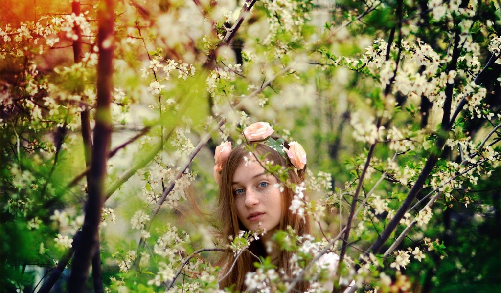 Обои цветы, деревья, природа, девушка, весна, веснушками, flowers, trees, nature, girl, spring, freckles разрешение 4608x3072 Загрузить