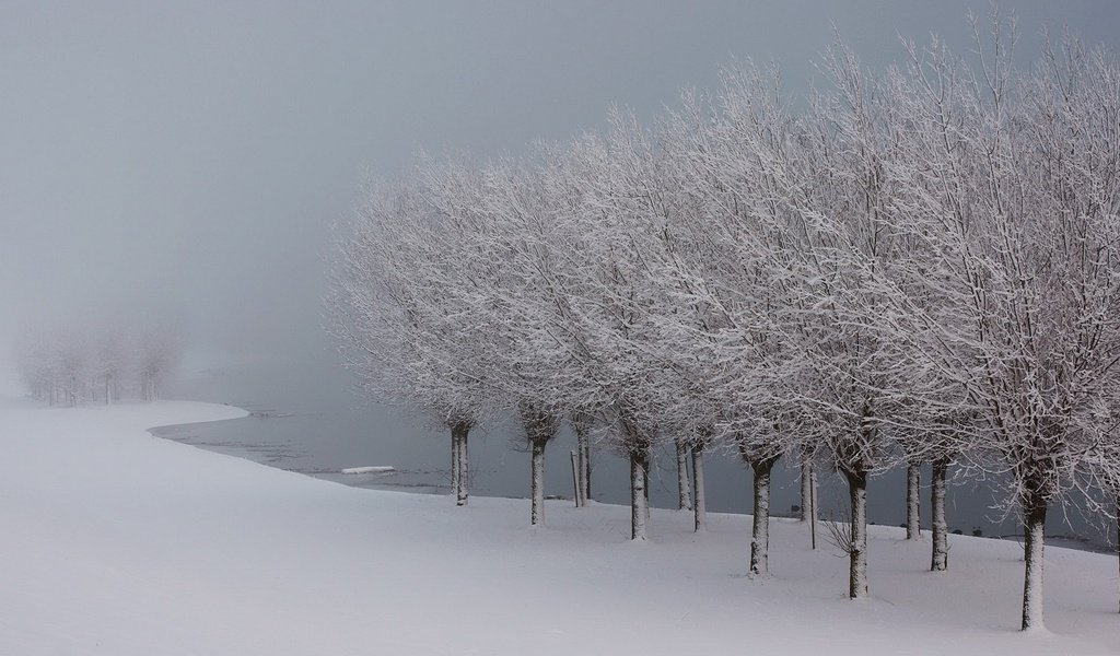 Обои деревья, озеро, снег, зима, иней, лёд, trees, lake, snow, winter, frost, ice разрешение 1920x1080 Загрузить