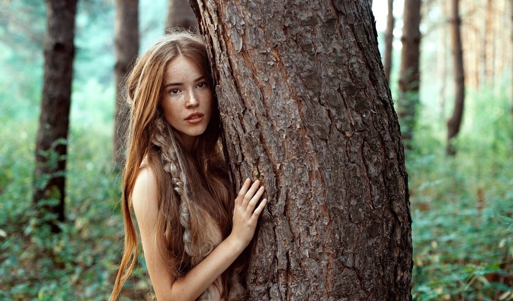 Обои деревья, лицо, природа, ствол, дерево, коса, лес, веснушки, девушка, взгляд, рыжая, волосы, trees, face, nature, trunk, tree, braid, forest, freckles, girl, look, red, hair разрешение 2048x1363 Загрузить