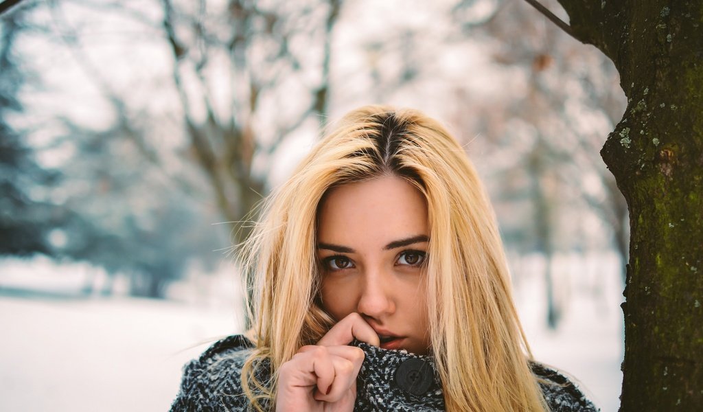 Обои зима, девушка, портрет, взгляд, волосы, лицо, winter, girl, portrait, look, hair, face разрешение 2048x1365 Загрузить