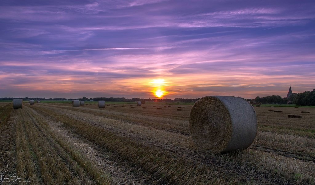 Обои небо, облака, закат, поле, сено, лето, тюки, рулоны, the sky, clouds, sunset, field, hay, summer, bales, rolls разрешение 2048x1152 Загрузить