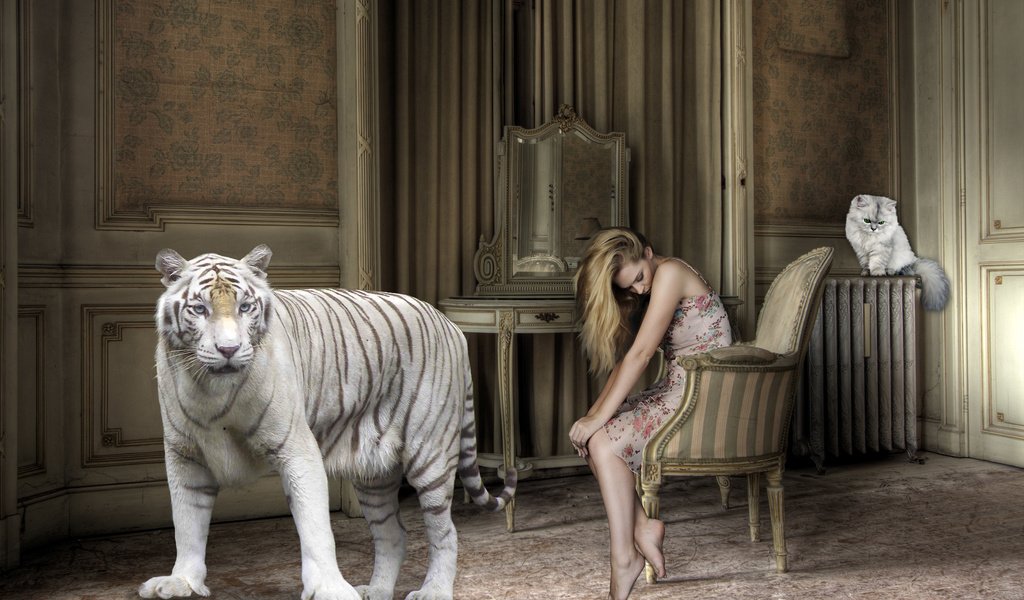 Обои тигр, босиком, девушка, большой кот, кошка, батарея, комната, креатив, волосы, кресло, белый тигр, tiger, barefoot, girl, big cat, battery, cat, room, creative, hair, chair, white tiger разрешение 2880x1800 Загрузить