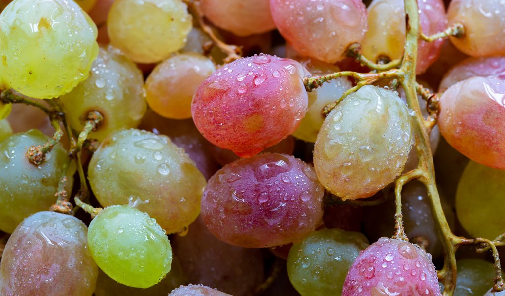 Обои виноград, ягоды, капли воды, крупным планом, grapes, berries, water drops, closeup разрешение 2304x1536 Загрузить