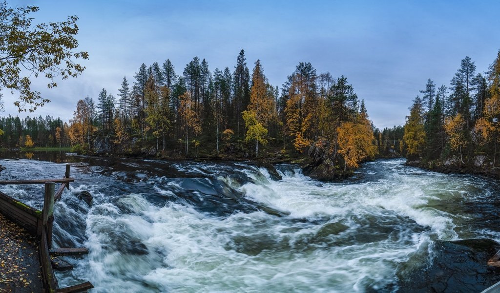 Обои деревья, река, лес, осень, финляндия, kuusamo, trees, river, forest, autumn, finland разрешение 3072x1500 Загрузить