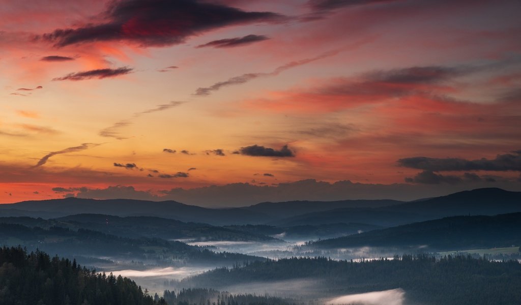 Обои небо, горы, лес, закат, the sky, mountains, forest, sunset разрешение 2048x1405 Загрузить
