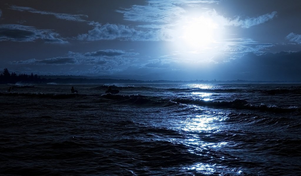 Обои ночь, блики, волны, доски, отражение, серфинг, лучи, море, люди, луна, свечение, night, glare, wave, board, reflection, surfing, rays, sea, people, the moon, glow разрешение 2560x1600 Загрузить