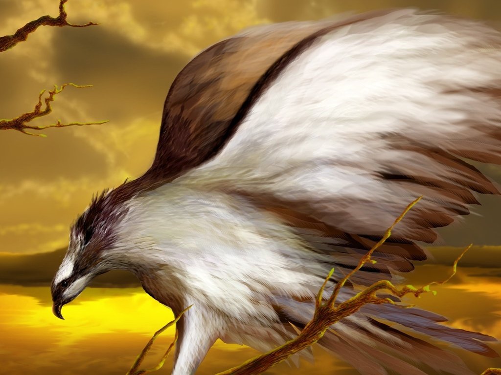 Обои рисунок, крылья, орел, птица, figure, wings, eagle, bird разрешение 1920x1200 Загрузить