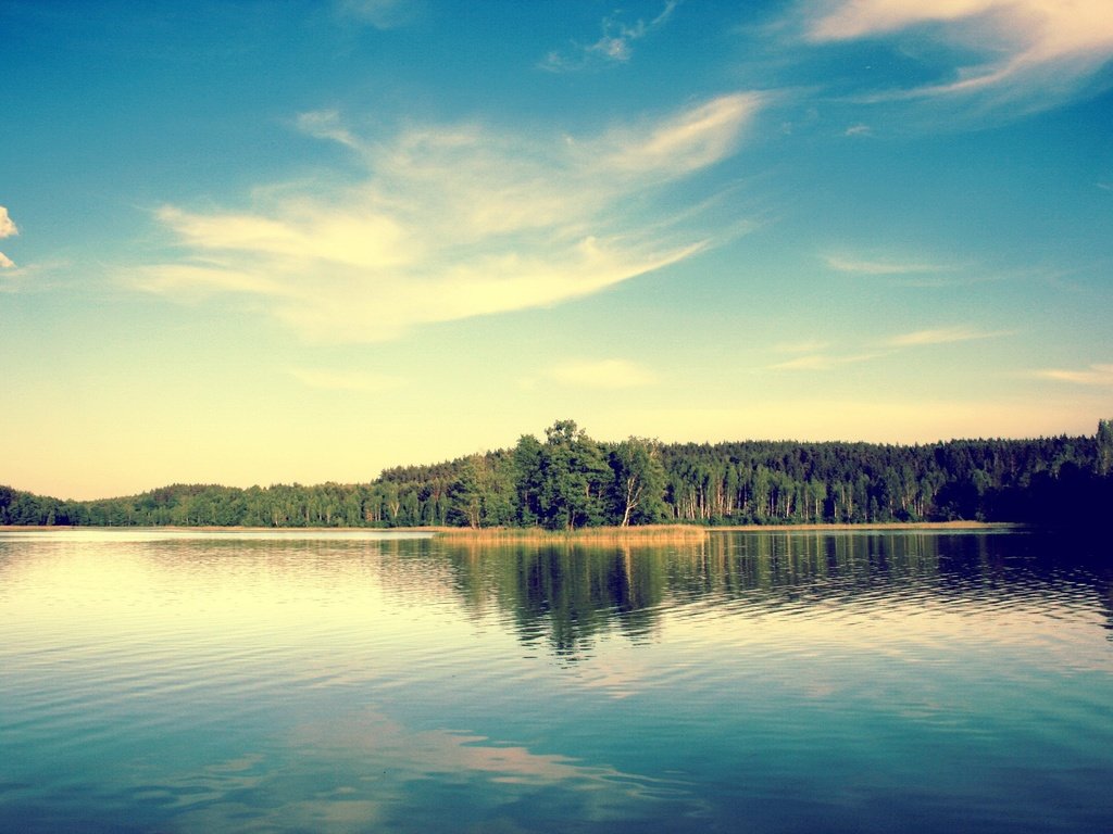 Обои небо, деревья, озеро, the sky, trees, lake разрешение 1920x1440 Загрузить