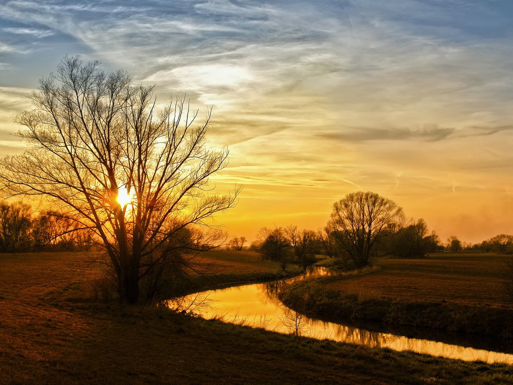 Обои деревья, река, природа, пейзаж, осень, берега, trees, river, nature, landscape, autumn, bank разрешение 1920x1180 Загрузить