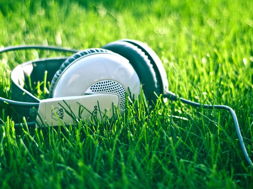 Обои природа, лето, музыка, наушники, травка, шнур, nature, summer, music, headphones, weed, cord разрешение 1920x1080 Загрузить