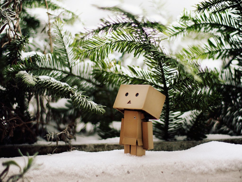 Обои снег, зима, ветви, елки, данбо, snow, winter, branch, tree, danbo разрешение 1920x1200 Загрузить