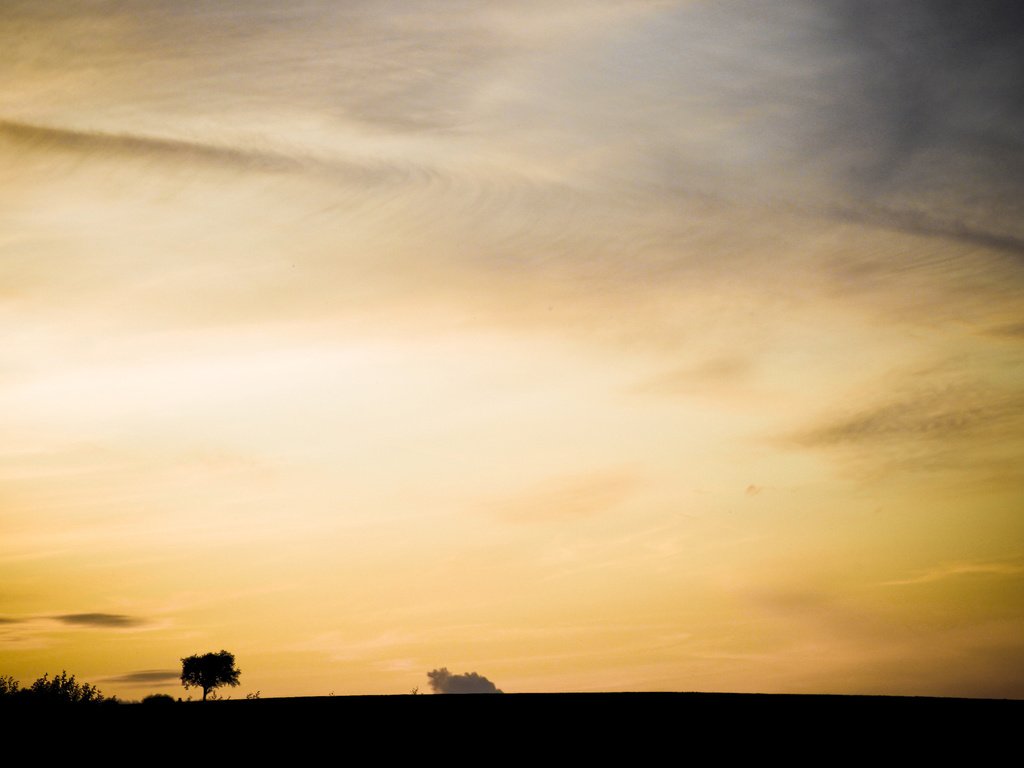 Обои небо, дерево, горизонт, желтое, the sky, tree, horizon, yellow разрешение 2560x1440 Загрузить