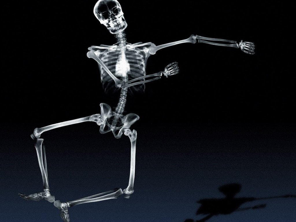 Обои тень, рентген, кости, скелет, танцует, shadow, x-ray, bones, skeleton, dancing разрешение 1920x1080 Загрузить