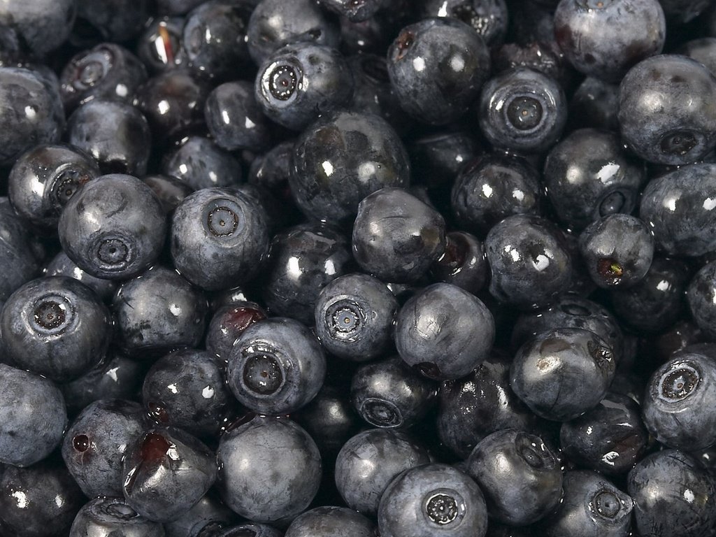 Обои макро, ягода, черника, macro, berry, blueberries разрешение 1920x1080 Загрузить