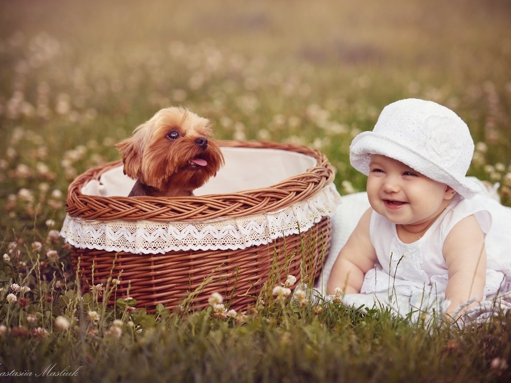 Обои собака, девочка, корзина, ребенок, dog, girl, basket, child разрешение 2000x1306 Загрузить