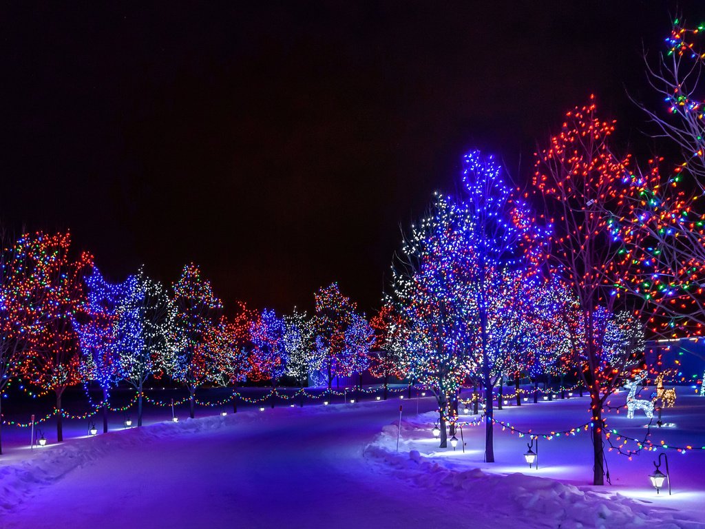 Обои дорога, ночь, деревья, снег, парк, иллюминация, город, road, night, trees, snow, park, illumination, the city разрешение 1920x1200 Загрузить