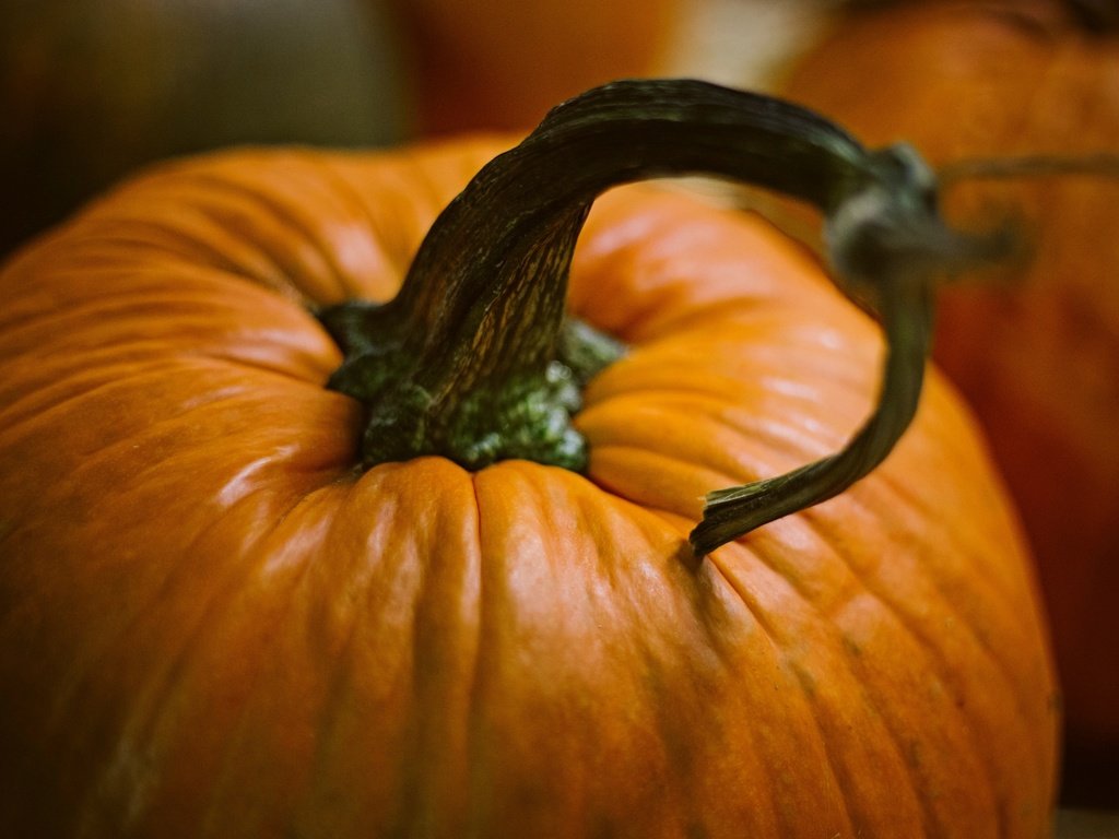 Обои хеллоуин, тыква, pumpkins, halloween, pumpkin разрешение 2880x1920 Загрузить