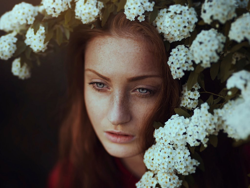 Обои цветы, макро, портрет, веснушки, ronny garcia, flowers, macro, portrait, freckles разрешение 2048x1365 Загрузить