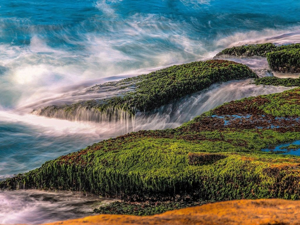 Обои природа, камни, море, водоросли, nature, stones, sea, algae разрешение 1920x1080 Загрузить