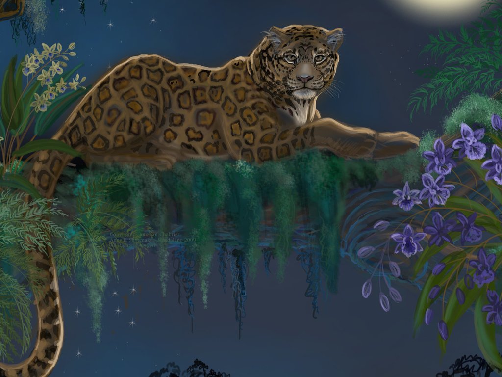 Обои арт, дерево, взгляд, леопард, хищник, животное, хвост, art, tree, look, leopard, predator, animal, tail разрешение 2560x1600 Загрузить
