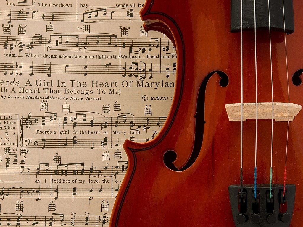Обои ноты, скрипка, музыка, notes, violin, music разрешение 2560x1707 Загрузить