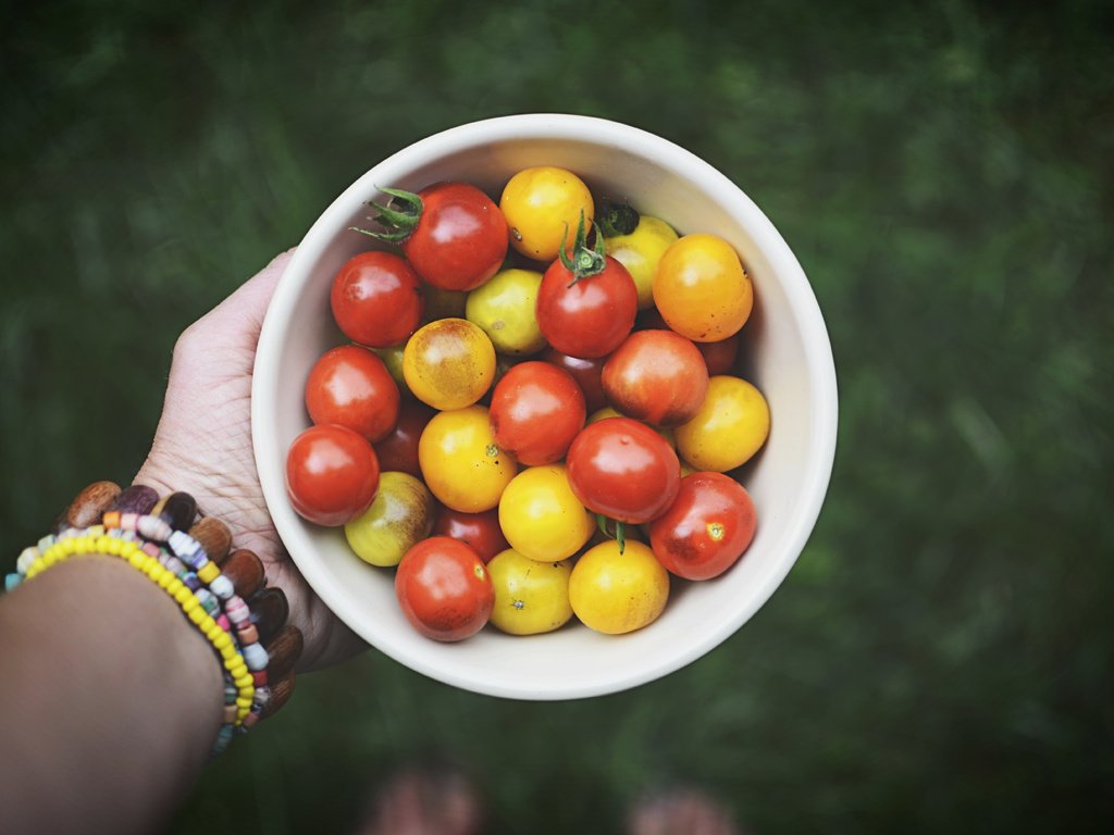 Обои рука, овощи, помидоры, томаты, hand, vegetables, tomatoes разрешение 6000x4000 Загрузить