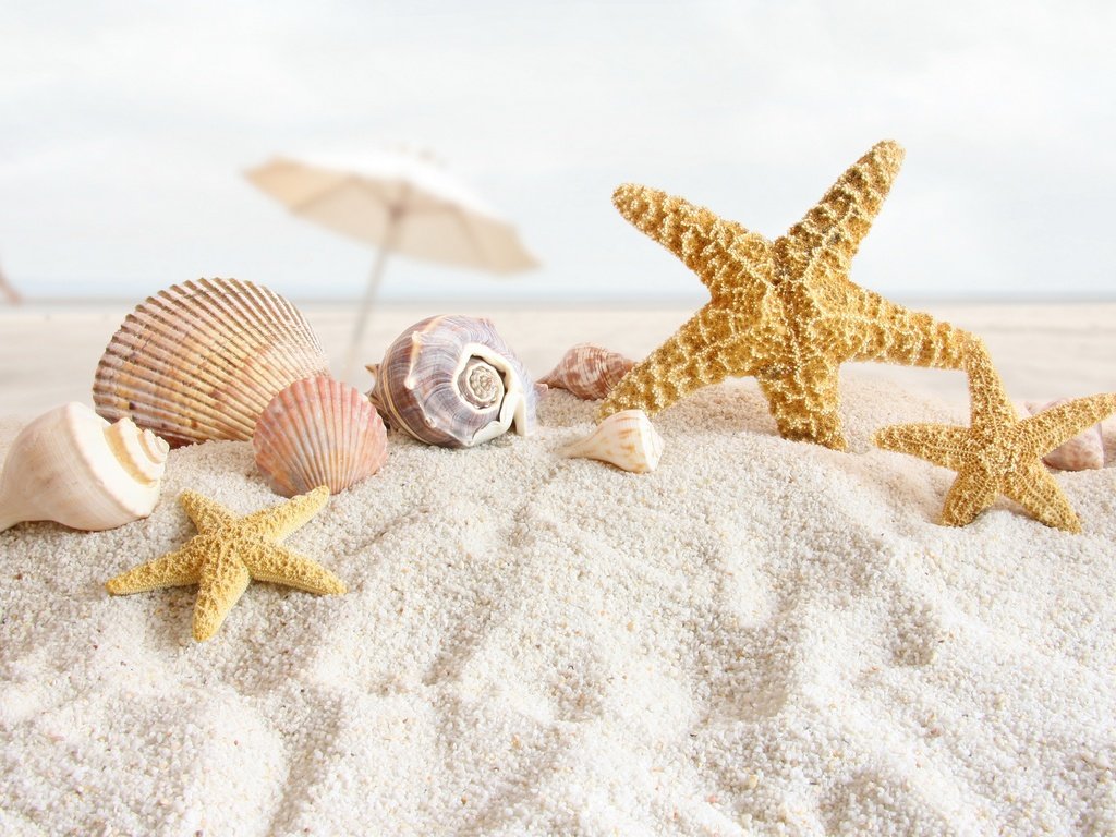 Обои берег, пляжный натюрморт, стиль, море, песок, пляж, ракушки, зонтик, морские звезды, shore, beach still life, style, sea, sand, beach, shell, umbrella, starfish разрешение 2880x1620 Загрузить