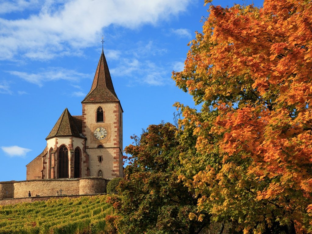 Обои деревья, осень, церковь, франция, hunawihr, church saint-jacques-le-majeur, церковь сен-жак-ле-мажёр, юнавир, trees, autumn, church, france, church of saint-jacques-le-mazher, the hunawihr разрешение 2500x1581 Загрузить