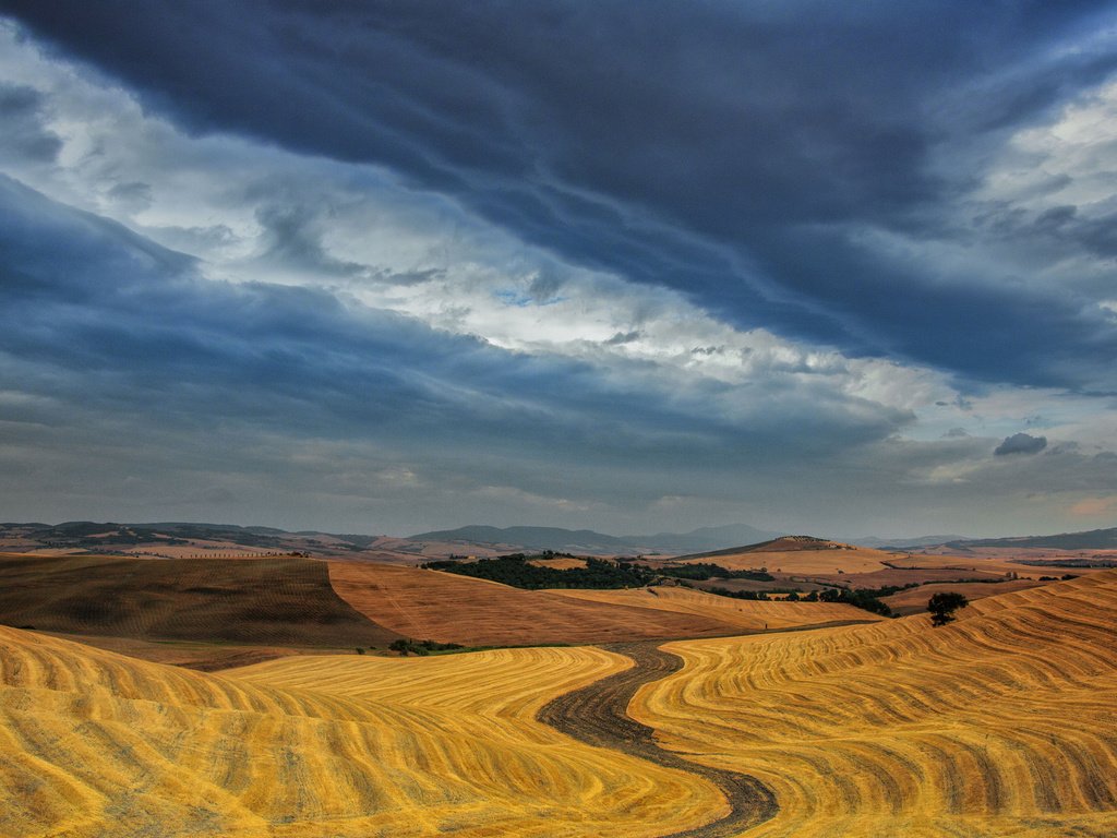 Обои небо, облака, поля, горизонт, урожай, пасмурно, the sky, clouds, field, horizon, harvest, overcast разрешение 1920x1200 Загрузить