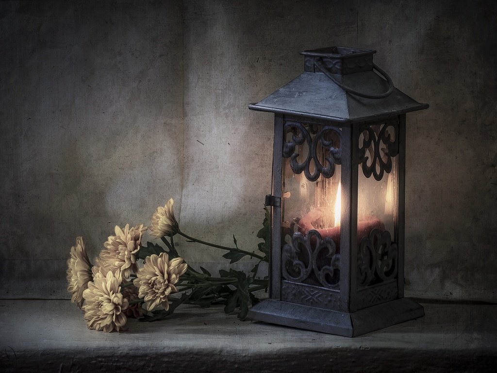 Обои цветы, стиль, фонарь, свеча, хризантемы, flowers, style, lantern, candle, chrysanthemum разрешение 3600x2384 Загрузить