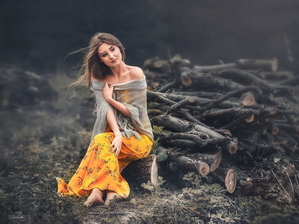 Обои девушка, фон, поза, взгляд, волосы, дрова, вадим мельник, girl, background, pose, look, hair, wood, vadim miller разрешение 1920x1200 Загрузить