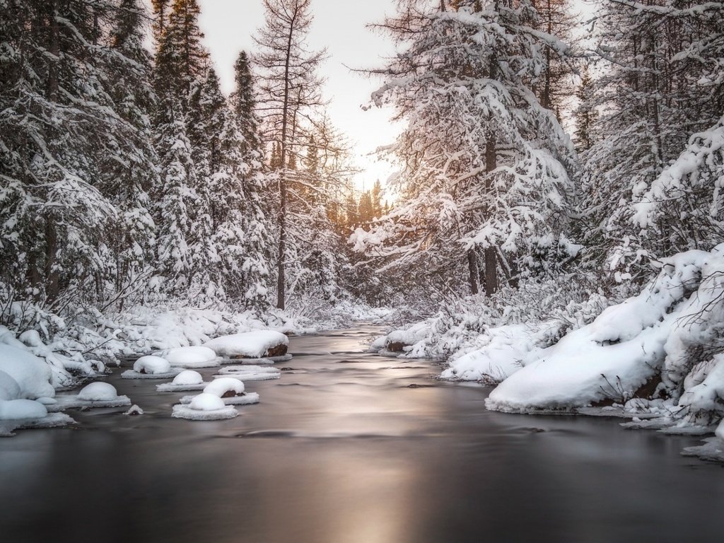 Обои деревья, река, снег, природа, лес, зима, trees, river, snow, nature, forest, winter разрешение 1920x1080 Загрузить