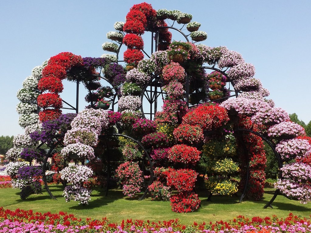 Обои цветы, дизайн, парк, дубаи, оаэ, miracle garden, flowers, design, park, dubai, uae разрешение 2600x1500 Загрузить