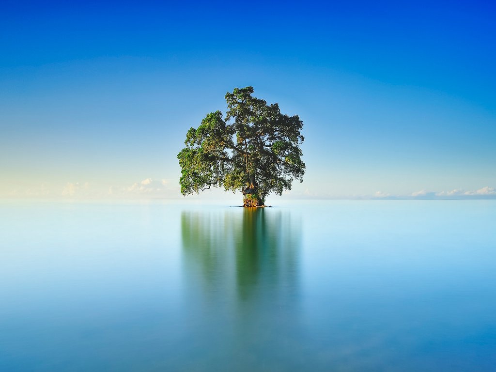 Обои небо, озеро, дерево, отражение, пейзаж, горизонт, гладь, the sky, lake, tree, reflection, landscape, horizon, surface разрешение 2048x1284 Загрузить