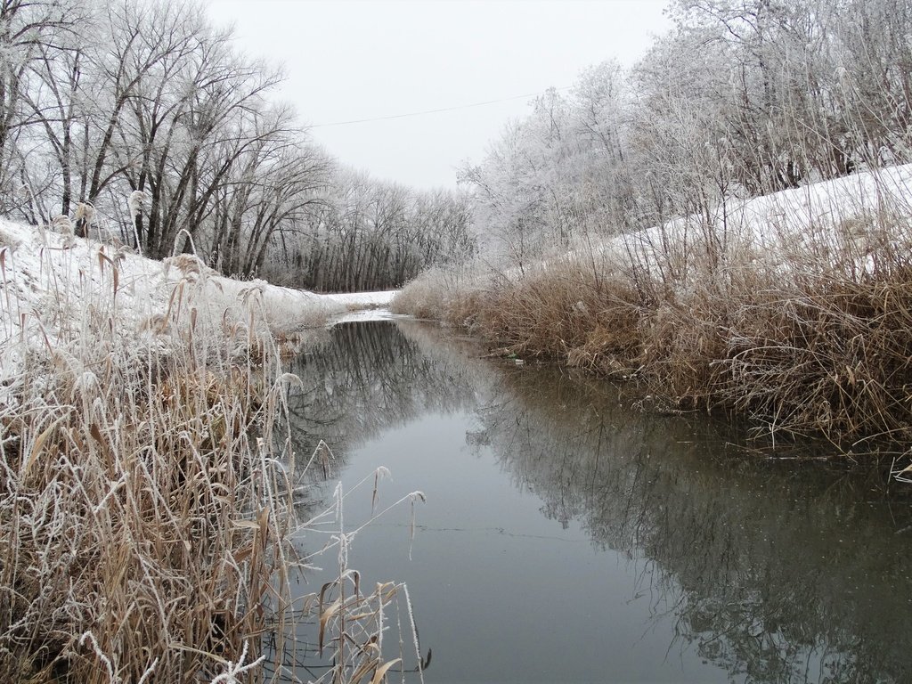 Обои снег, зима, иней, речка, snow, winter, frost, river разрешение 5184x2920 Загрузить