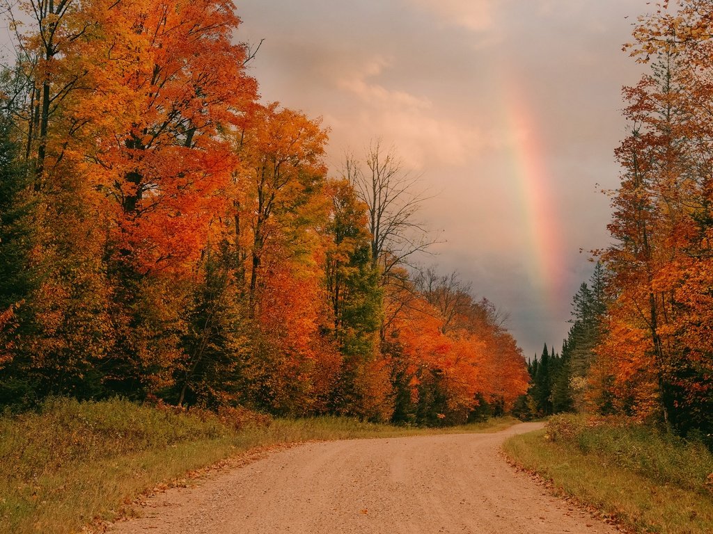 Обои дорога, осень, радуга, road, autumn, rainbow разрешение 3840x2160 Загрузить