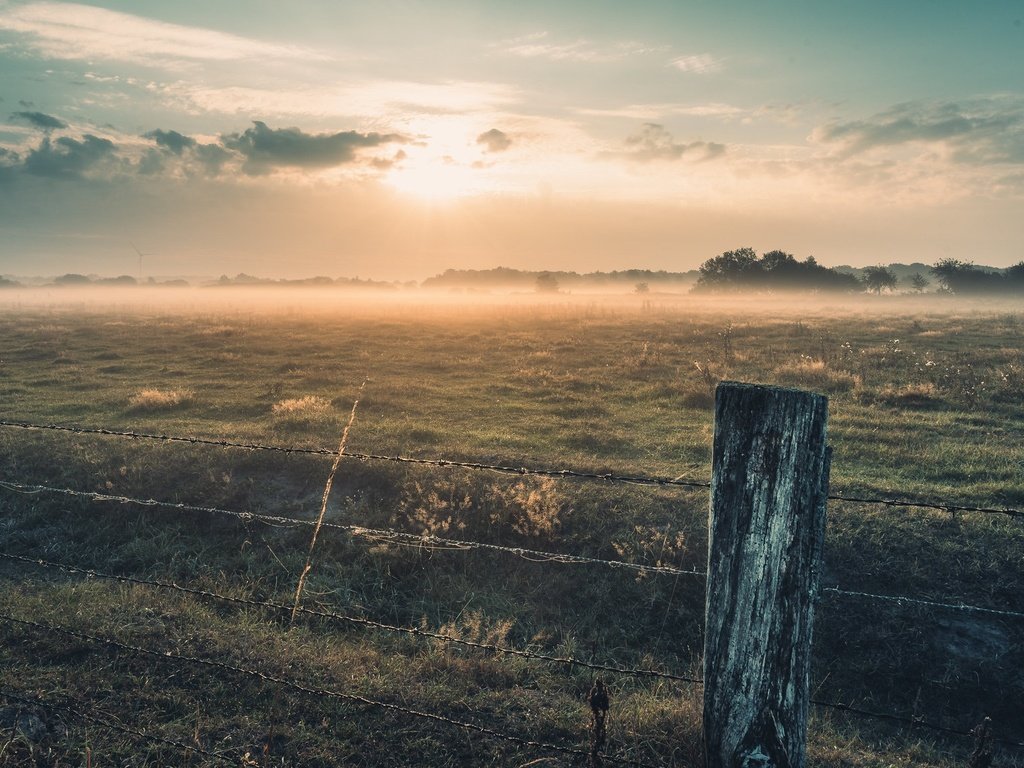 Обои утро, туман, забор, morning, fog, the fence разрешение 2048x1152 Загрузить