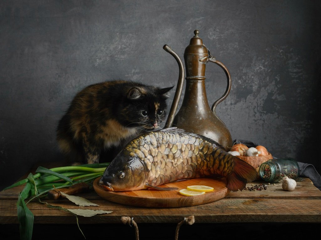 Обои кот, кошка, рыба, карп, cat, fish, carp разрешение 2500x1905 Загрузить